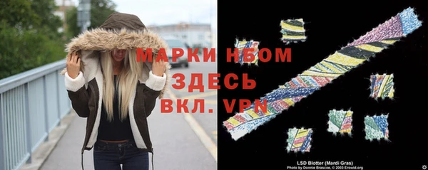 МДПВ Алексин