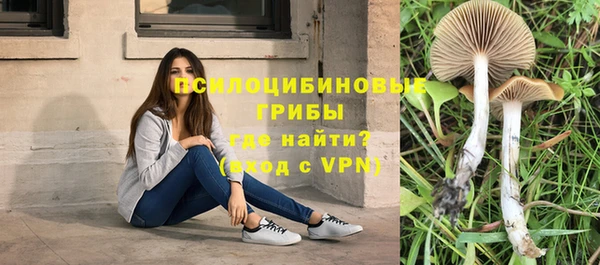 МДПВ Алексин