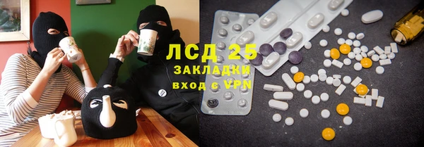 прущие грибы Абинск