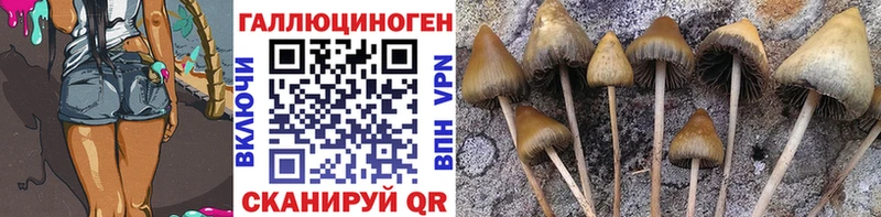 Псилоцибиновые грибы прущие грибы  Удомля 